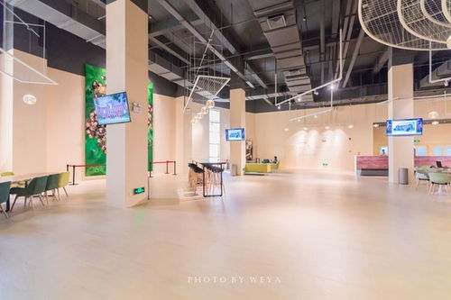 面面旅拍 探索奇妙科技工廠，坐擁海洋度假天堂，珠海夏日玩樂放縱之旅